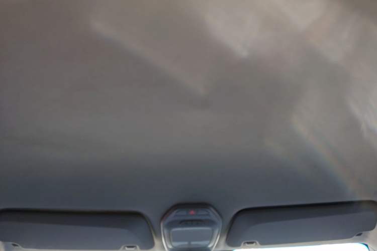 Used Baojun E200 2020 305KM Smart Drive Version Headliner