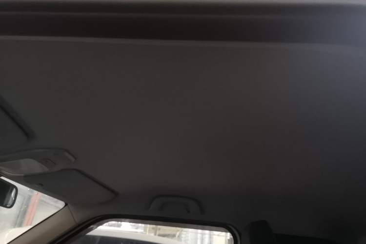 Used Baojun E200 2020 305KM Smart Drive Version Headliner