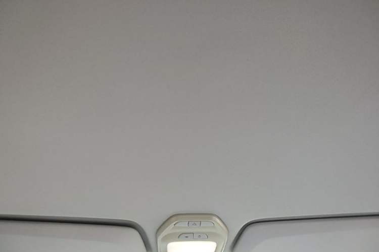 Used Baojun E200 2020 305KM Smart Drive Version Headliner
