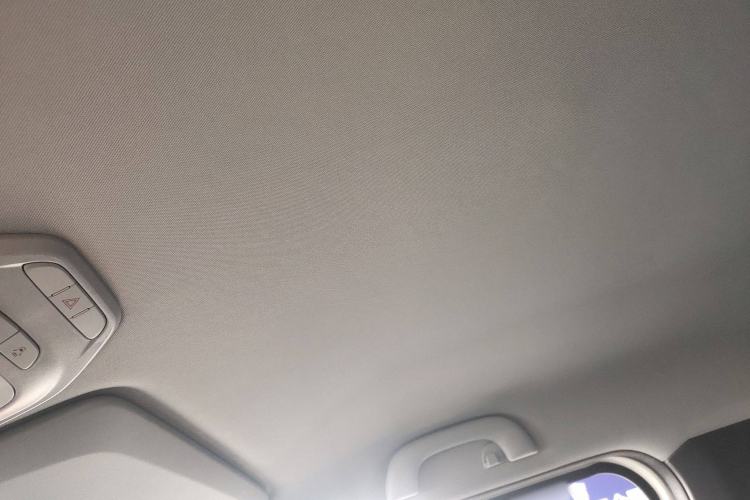 Used Baojun E200 2020 305KM Smart Drive Version Headliner