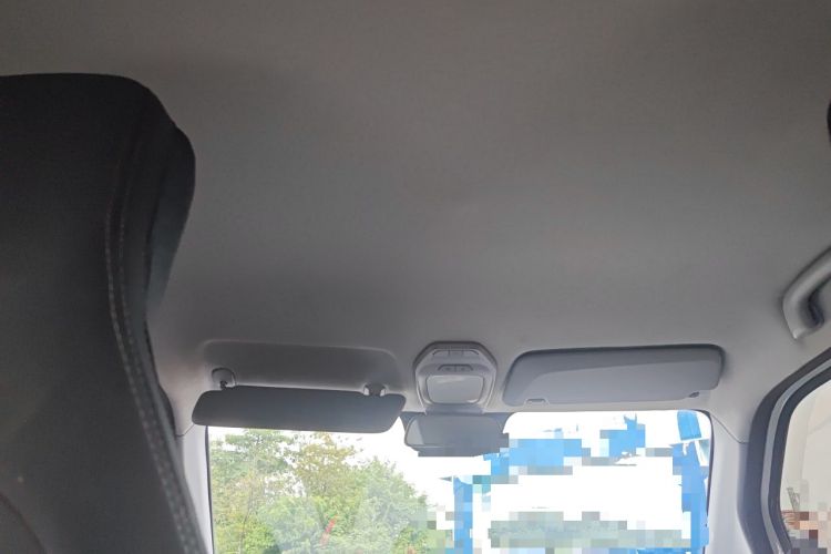 Used Baojun E200 2020 305KM Smart Drive Version Headliner