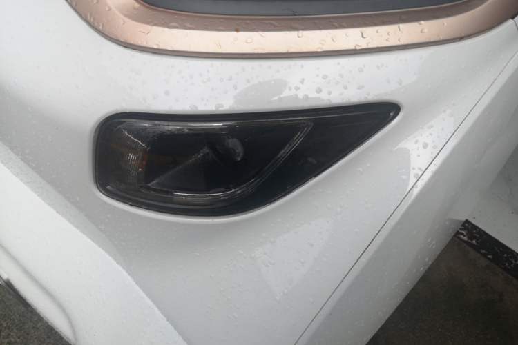 Used Baojun E200 2020 305KM Smart Drive Version Left Front Headlight