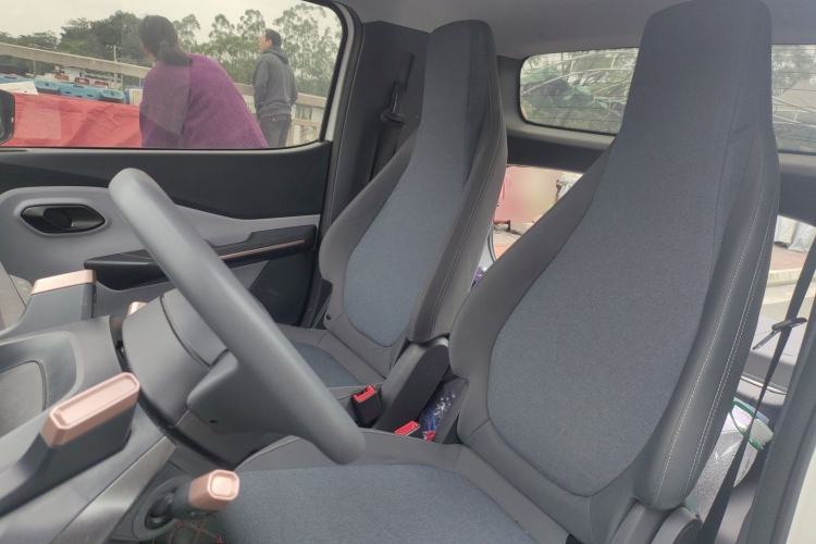 Used Baojun E200 2020 305KM Smart Drive Version Left Front Seat