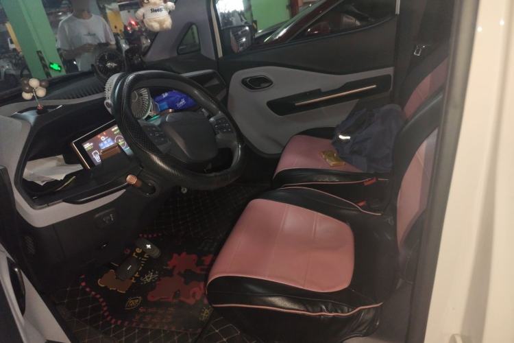Used Baojun E200 2020 305KM Smart Drive Version Left Front Seat
