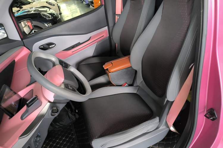 Used Baojun E200 2020 305KM Smart Enjoyment Version Left Front Seat