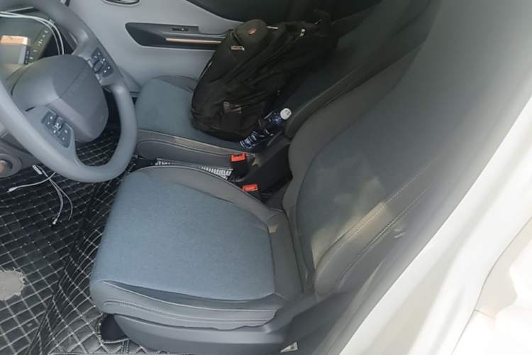 Used Baojun E200 2020 305KM Smart Drive Version Left Front Seat