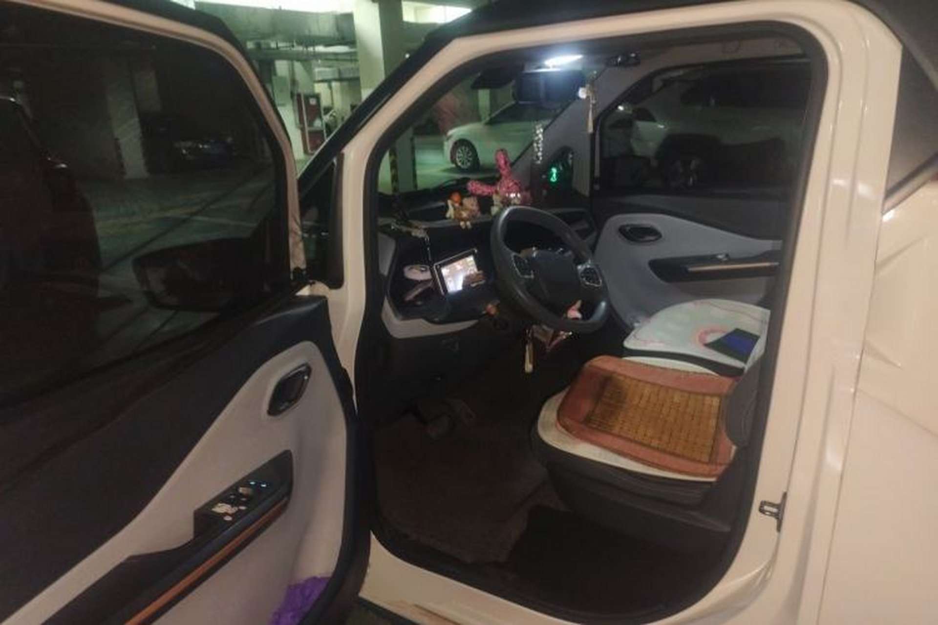 Used Baojun E200 2020 305KM Smart Drive Version Left Front Seat