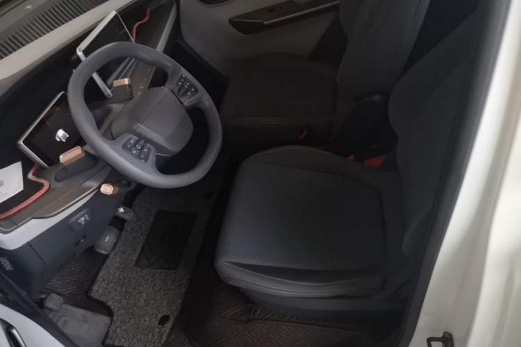 Used Baojun E200 2020 305KM Smart Drive Version Left Front Seat