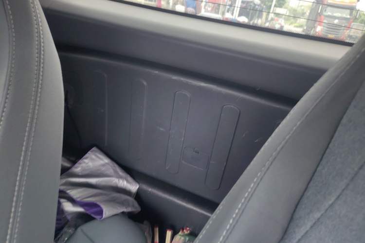 Used Baojun E200 2020 305KM Smart Drive Version Left Rear Seat