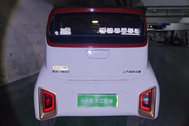 Used Baojun E200 2020 305KM Smart Drive Version Rear