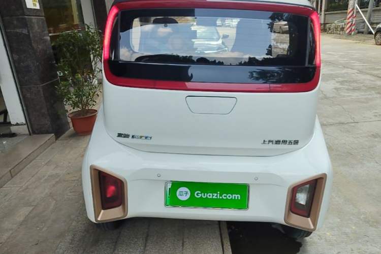 Used Baojun E200 2020 305KM Smart Drive Version Rear