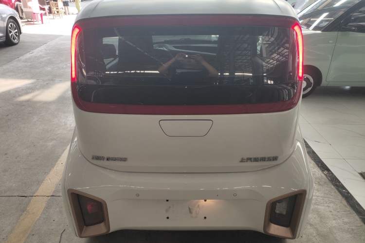 Used Baojun E200 2020 305KM Smart Drive Version Rear