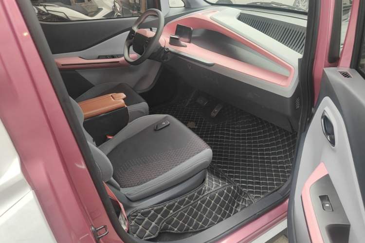 Used Baojun E200 2020 305KM Smart Enjoyment Version Right Front Seat