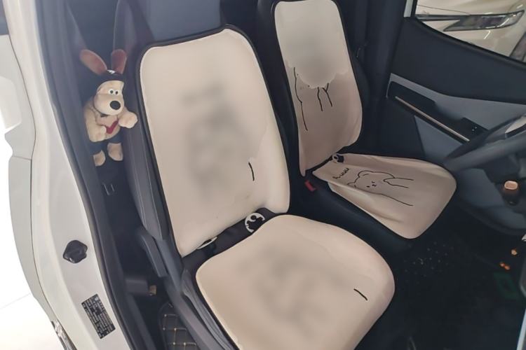 Used Baojun E200 2020 305KM Smart Drive Version Right Front Seat