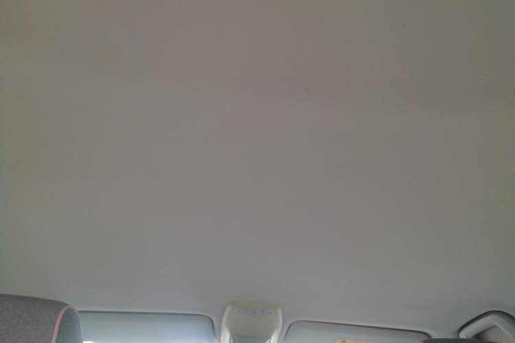 Used Baojun E300 2020 Star Travel Edition Headliner