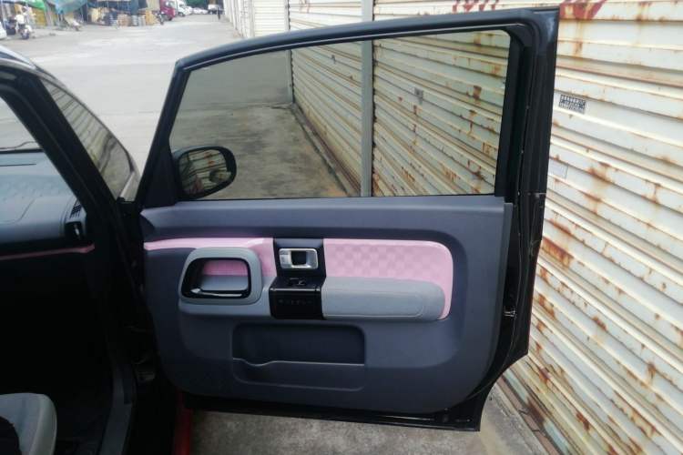 Used Baojun E300 2020 Star Travel Edition Right Front Door Interior