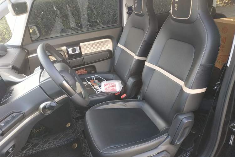 Used Baojun E300 2020 Plus Interstellar Smart Edition Left Front Seat