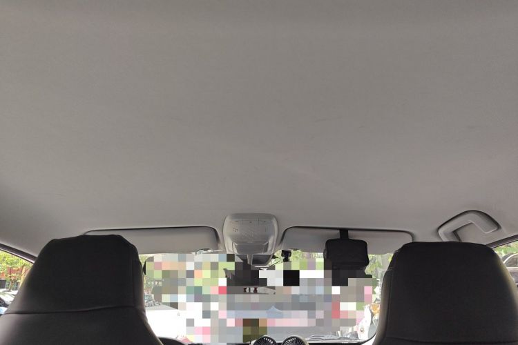 Used Baojun E300 2020 Star Travel Edition Headliner