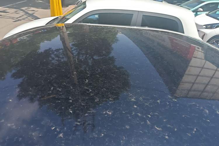Used Baojun E300 2020 Starry Intelligence Edition Roof