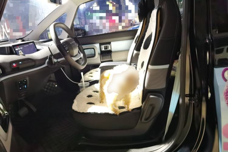 Used Baojun E300 2020 Starry Intelligence Edition Left Rear Seat