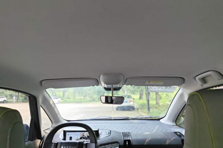 Used Baojun E300 2020 Star Travel Edition Headliner