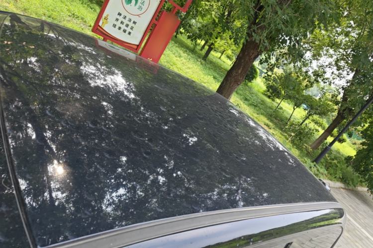 Used Baojun E300 2020 Star Travel Edition Roof