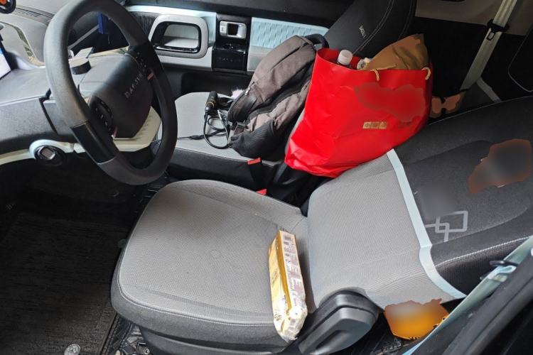 Used Baojun E300 2020 Interstellar Future Edition Left Front Seat