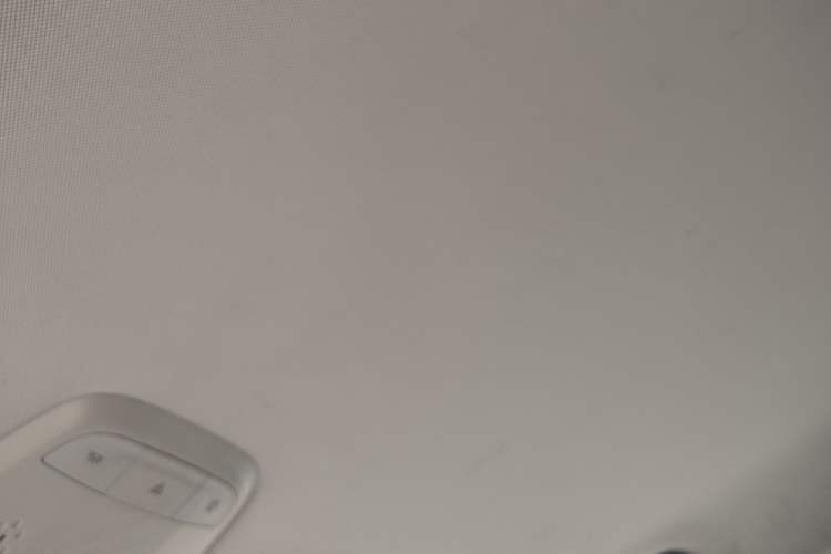 Used Baojun E300 2020 Star Travel Edition Headliner