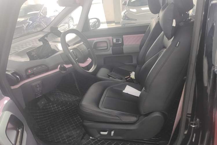 Used Baojun E300 2020 Starry Intelligence Edition Left Front Seat
