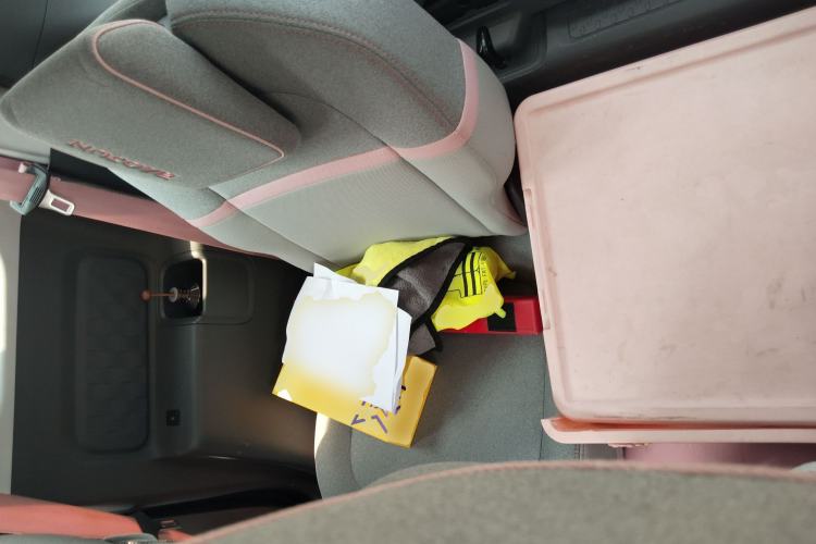 Used Baojun E300 2020 Star Travel Edition Left Rear Seat