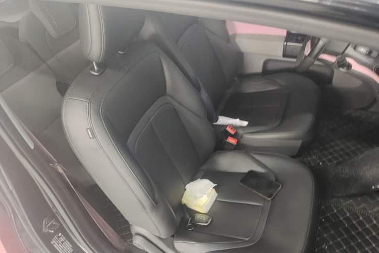 Used Baojun E300 2020 Starry Intelligence Edition Right Front Seat