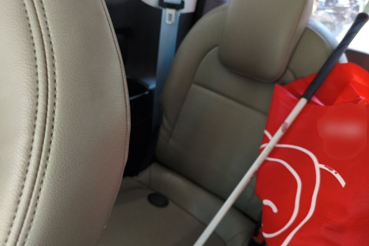 Used Baojun E300 2020 Plus Interstellar Future Edition Left Rear Seat