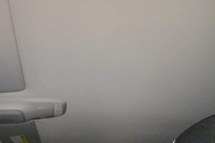 Used Baojun E300 2020 Star Travel Edition Headliner
