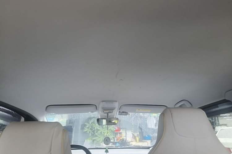 Used Baojun E300 2020 Plus Interstellar Future Edition Headliner