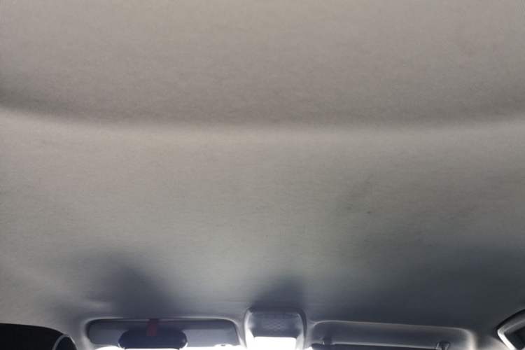 Used Baojun E300 2020 Star Travel Edition Headliner