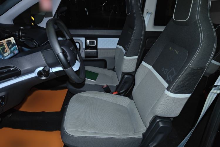 Used Baojun E300 2020 Starry Intelligence Edition Left Front Seat
