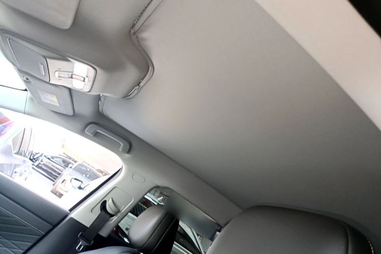 Used Baojun Enjoy 2025 Plug-in Hybrid 140km Luxury Edition Headliner