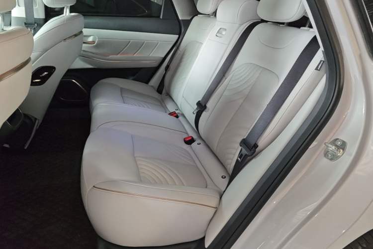 Used Baojun Enjoy 2025 Plug-in Hybrid 140km Luxury Edition Left Rear Seat