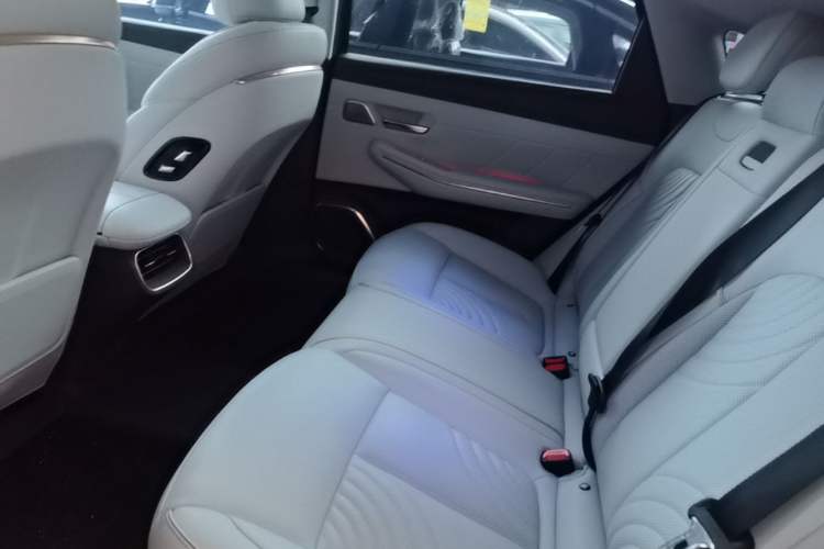 Used Baojun Enjoy 2025 All-Electric 600km Luxury Edition Left Rear Seat