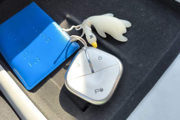 Used Baojun Enjoy 2025 Plug-in Hybrid 140km Luxury Edition Vehicle Key