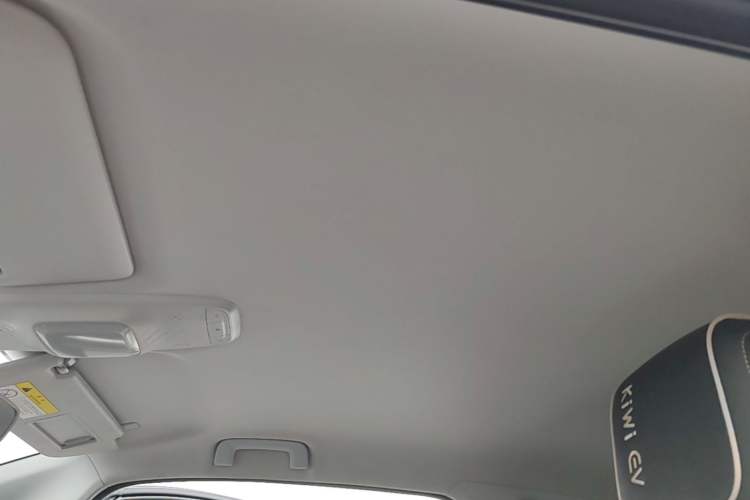 Used Baojun KiWi EV 2021 Designer Lithium Iron Phosphate Headliner