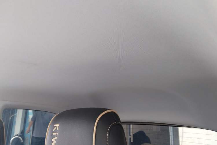 Used Baojun KiWi EV 2021 Designer Lithium Iron Phosphate Headliner