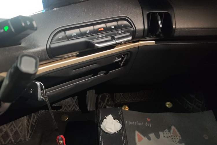 Used Baojun KiWi EV 2021 Designer Lithium Iron Phosphate Audio And AC Panel