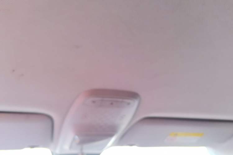 Used Baojun KiWi EV 2021 Designer Lithium Iron Phosphate Headliner