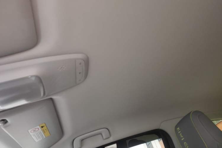 Used Baojun KiWi EV 2021 Designer Lithium Iron Phosphate Headliner