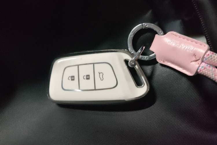 Used Baojun KiWi EV 2021 Artist Model Lithium Iron Phosphate Vehicle Key