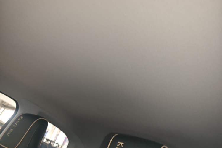 Used Baojun KiWi EV 2022 Designer Lite Edition Ternary Lithium Headliner