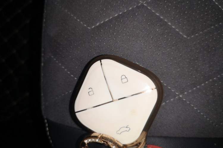 Used Baojun KiWi EV 2022 Artist Lite Edition Ternary Lithium Vehicle Key
