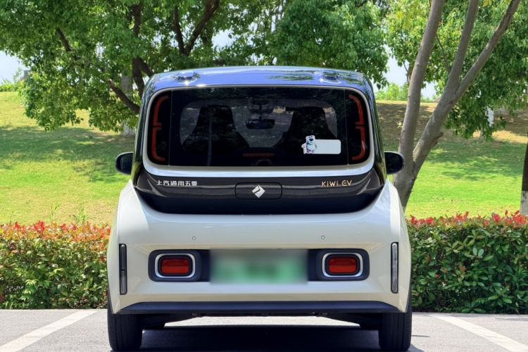 Used Baojun KiWi EV 2022 Designer Lite Edition Lithium Iron Phosphate Exterior 6