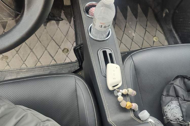Used Baojun KiWi EV 2022 Artist Lite Edition Lithium Iron Phosphate Gear Lever